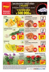 Penny Aktuln nabdka od 27.4.2015, strana 9 